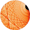 carrés