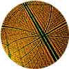 multiplication moitié
